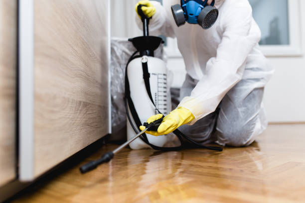 Best Emergency Pest Control  in Prairie Ridge, WA