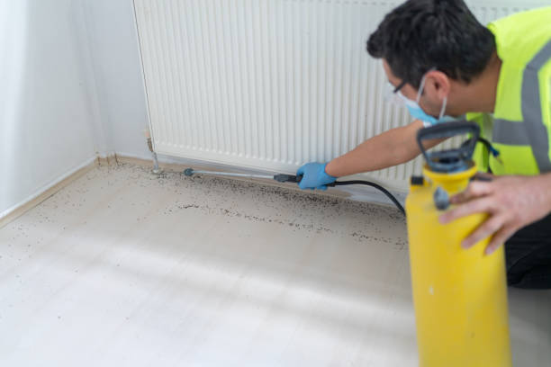 Best Pest Control for Restaurants  in Prairie Ridge, WA