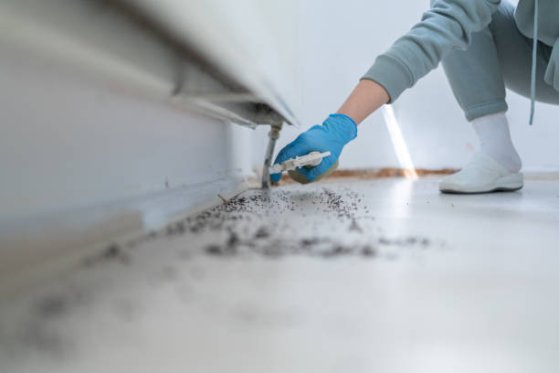 Best Ant Control Services  in Prairie Ridge, WA