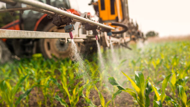 Prairie Ridge, WA Pest Control Company